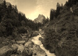 Sepia