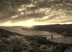 Sepia