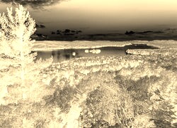 Sepia + Negatyw