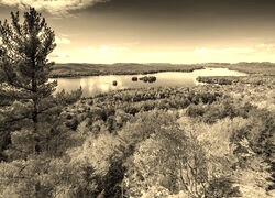 Szary + Sepia