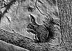 Skamielina