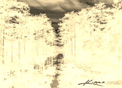 Sepia + Negatyw