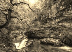 Szary + Sepia