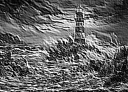 Skamielina
