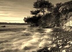 Szary + Sepia