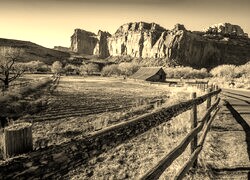 Szary + Sepia
