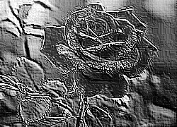 Skamielina