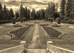 Szary + Sepia