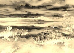 Sepia + Negatyw