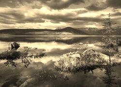Szary + Sepia