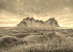 Szary + Sepia