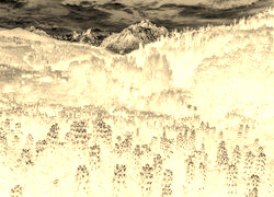 Sepia + Negatyw
