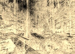 Sepia + Negatyw