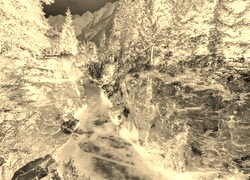 Sepia + Negatyw