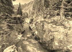 Sepia