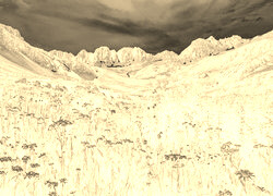 Sepia + Negatyw