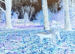 Negatyw