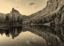 Szary + Sepia