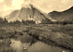 Szary + Sepia