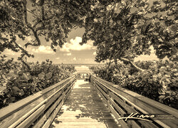 Szary + Sepia
