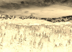 Sepia + Negatyw