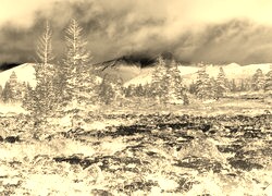Sepia + Negatyw