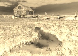 Sepia + Negatyw