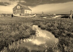 Szary + Sepia