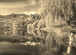 Szary + Sepia