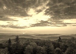 Szary + Sepia