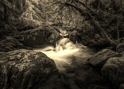 Szary + Sepia