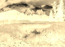 Sepia + Negatyw