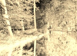 Sepia + Negatyw