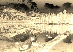Sepia + Negatyw