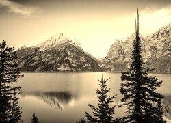 Szary + Sepia