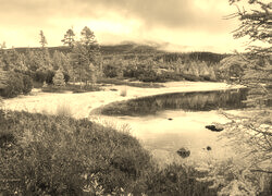 Sepia