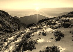 Szary + Sepia