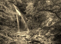 Szary + Sepia