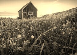 Sepia