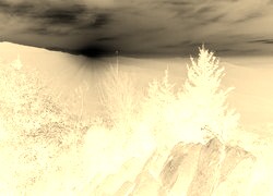 Sepia + Negatyw