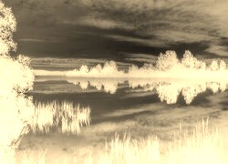 Sepia + Negatyw