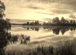 Szary + Sepia