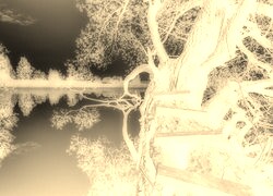 Sepia + Negatyw