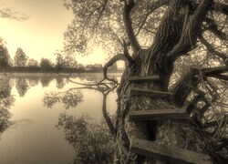 Szary + Sepia