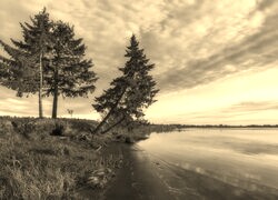 Szary + Sepia
