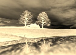 Sepia + Negatyw