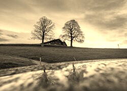 Szary + Sepia