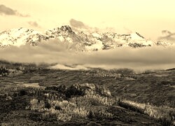 Szary + Sepia