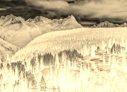 Sepia + Negatyw