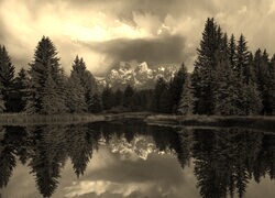 Szary + Sepia